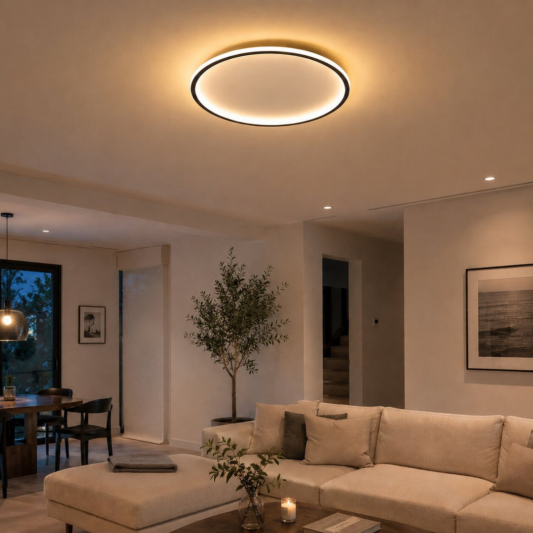 Modern Flush Mount Ceiling Light