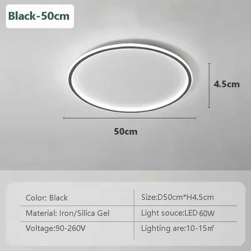 Modern Flush Mount Ceiling Light