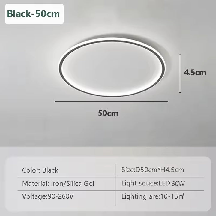 Modern Flush Mount Ceiling Light