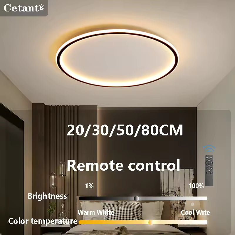 Modern Flush Mount Ceiling Light