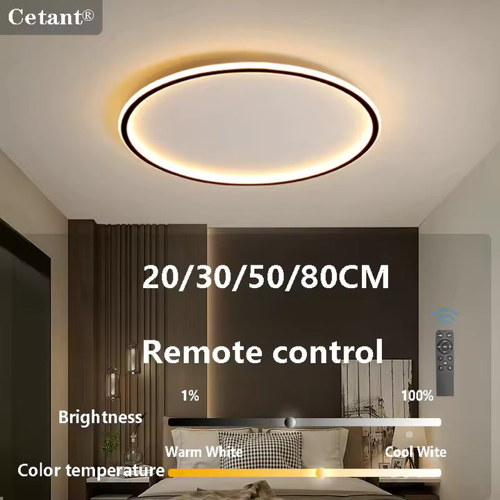 Modern Flush Mount Ceiling Light