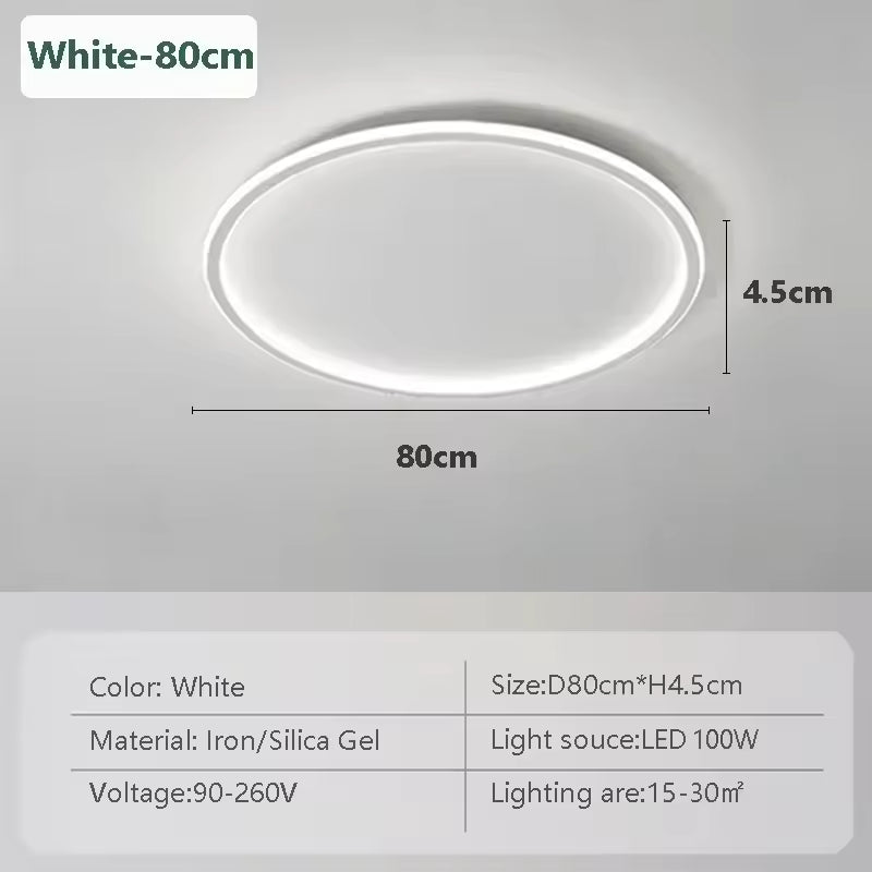 Modern Flush Mount Ceiling Light