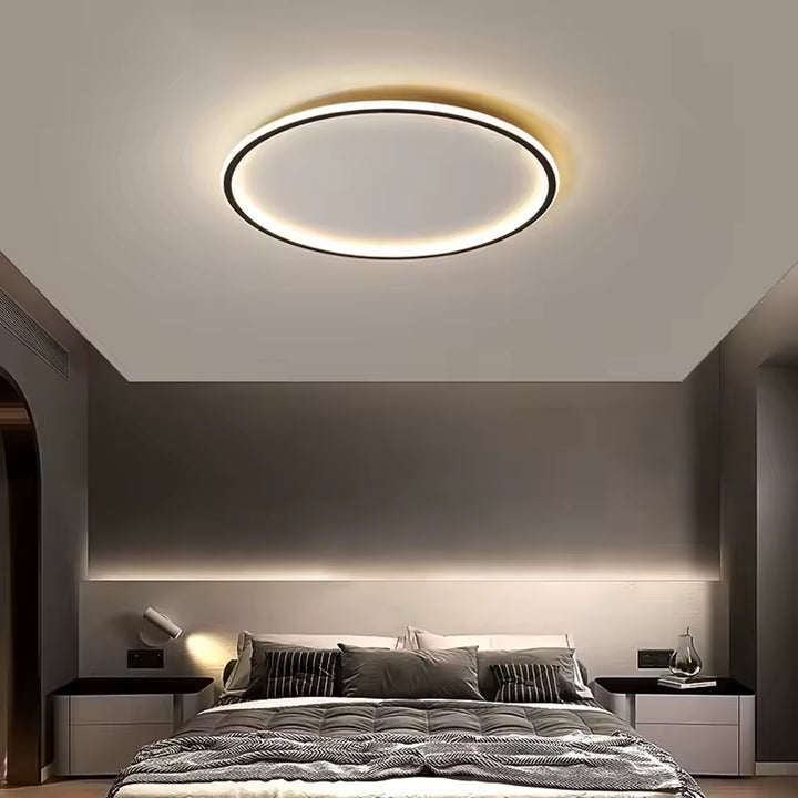Modern Flush Mount Ceiling Light