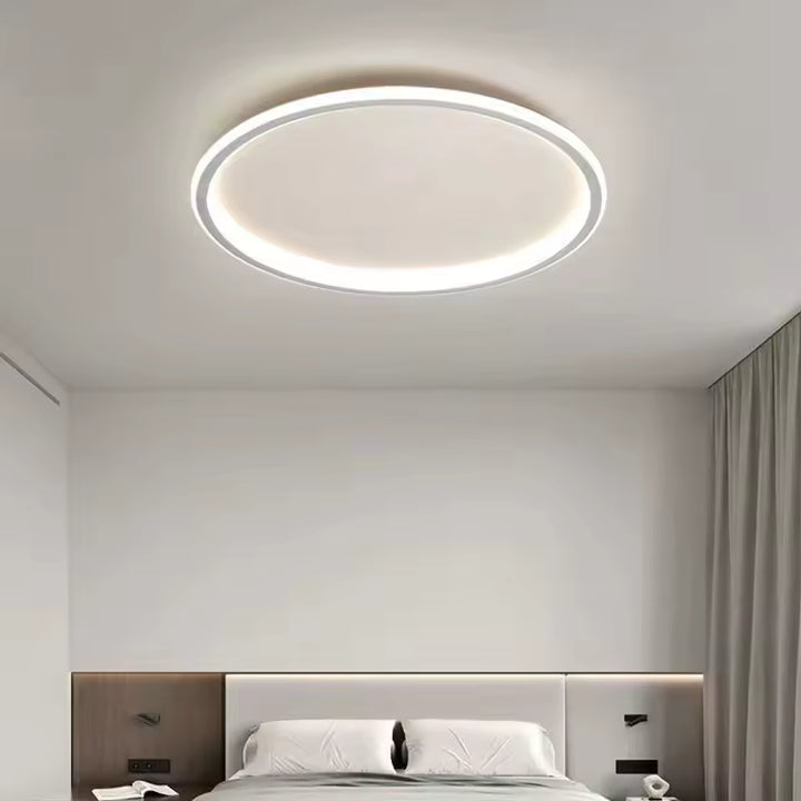 Modern Flush Mount Ceiling Light