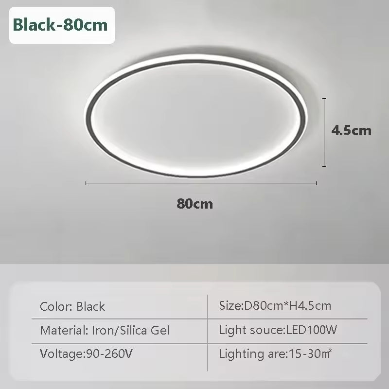 Modern Flush Mount Ceiling Light