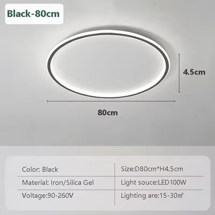 Modern Flush Mount Ceiling Light