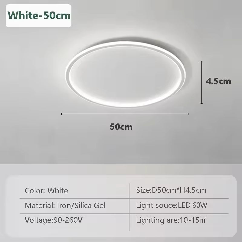 Modern Flush Mount Ceiling Light