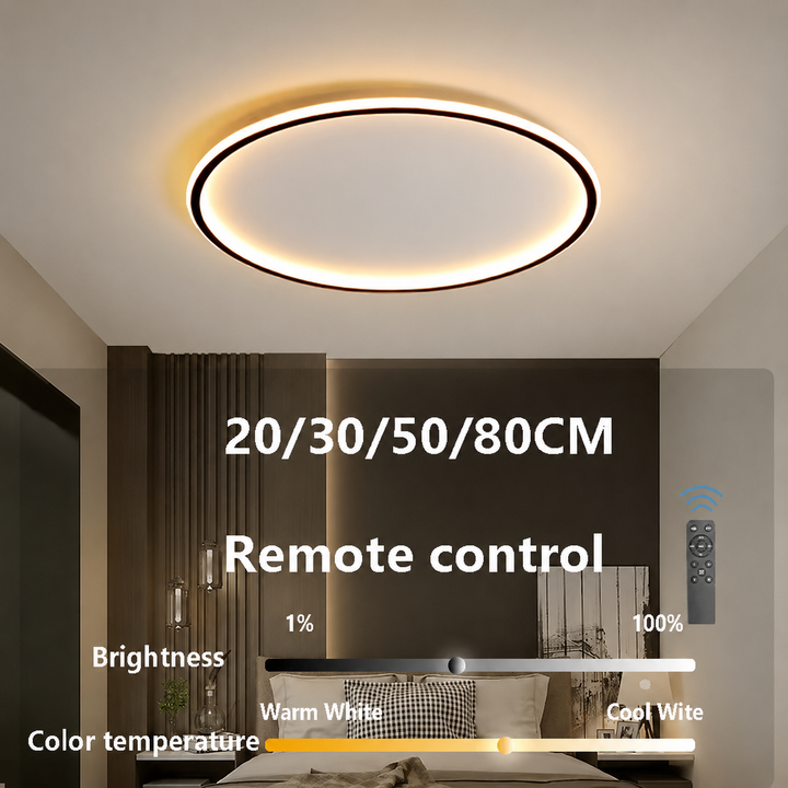 Modern Flush Mount Ceiling Light