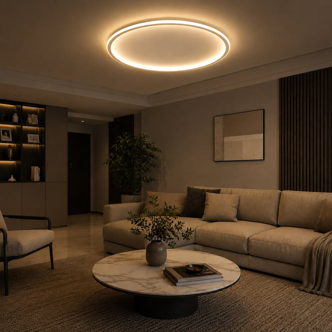 Modern Flush Mount Ceiling Light