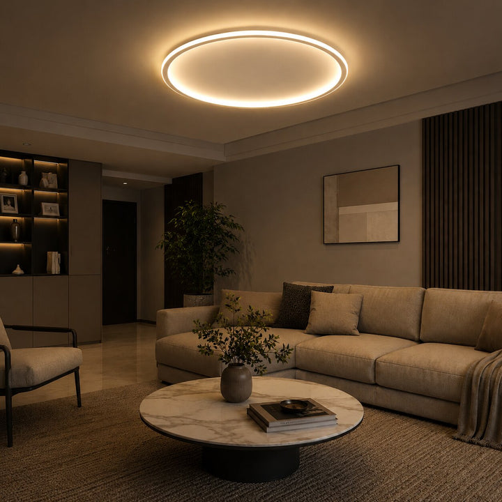 Modern Flush Mount Ceiling Light
